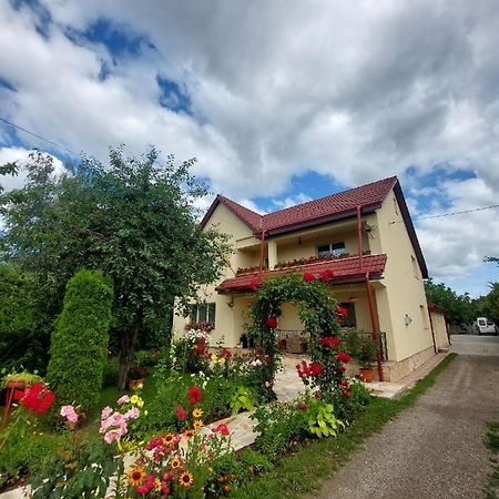 Steaua Nordului Hotell Târgu Neamț Exteriör bild