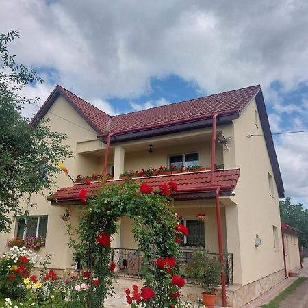 Steaua Nordului Hotell Târgu Neamț Exteriör bild