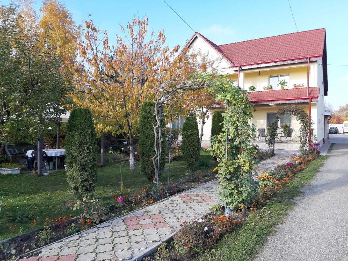 Steaua Nordului Hotell Târgu Neamț Exteriör bild