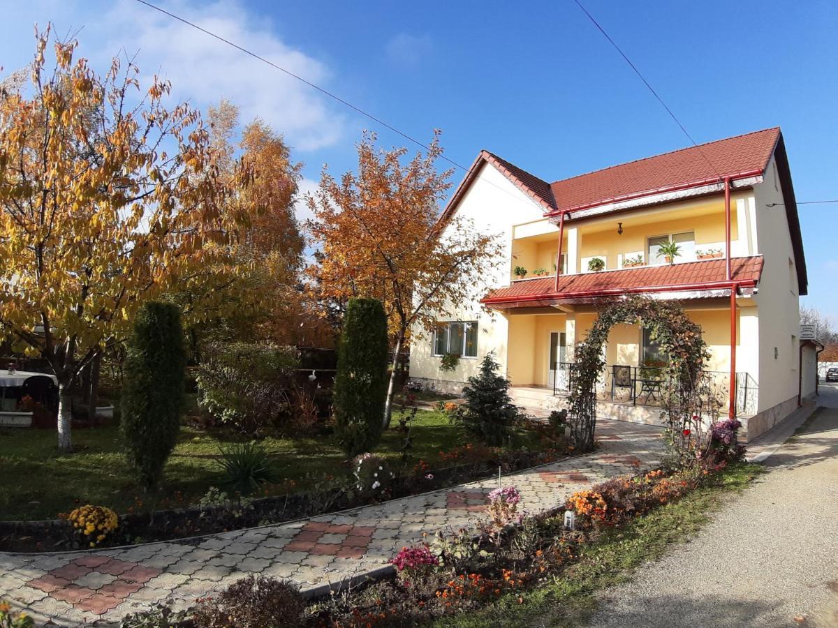 Steaua Nordului Hotell Târgu Neamț Exteriör bild