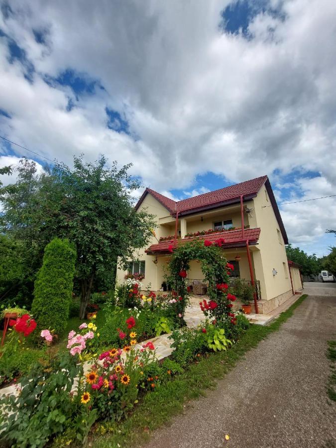Steaua Nordului Hotell Târgu Neamț Exteriör bild